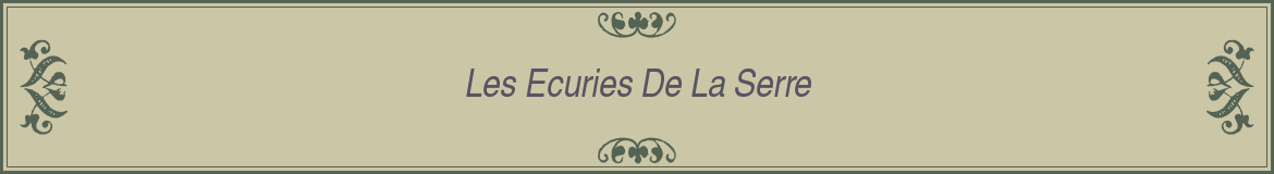 Les Ecuries De La Serre